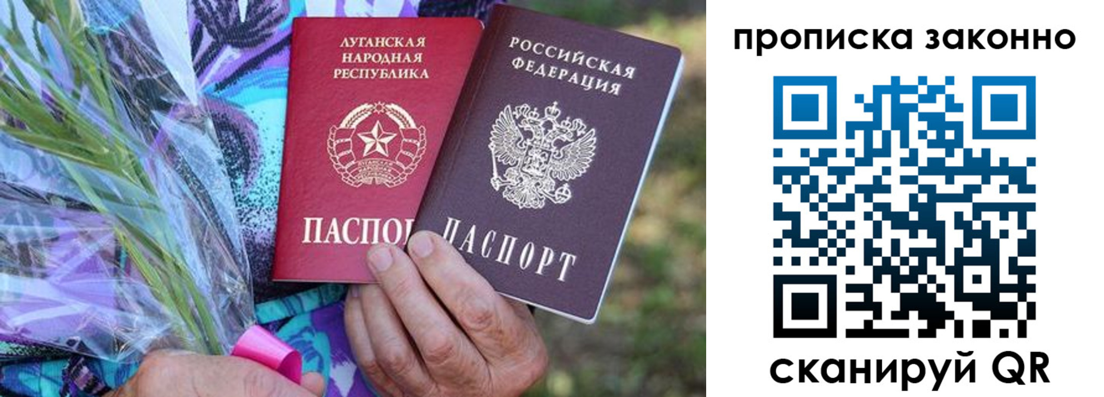 прописка для школы в Полярных Зорях